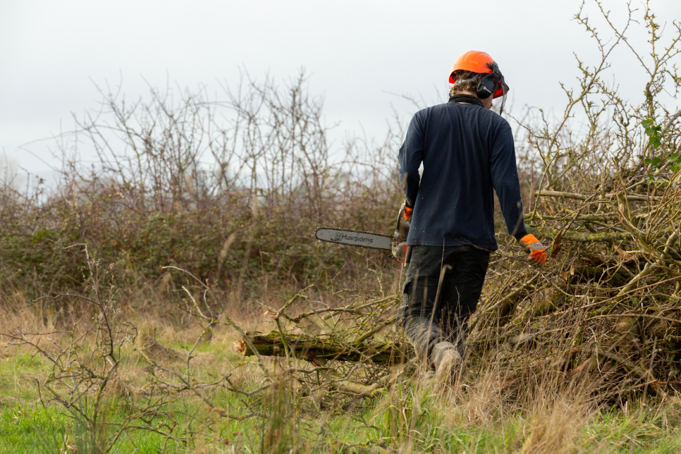 Reserve management during winter 